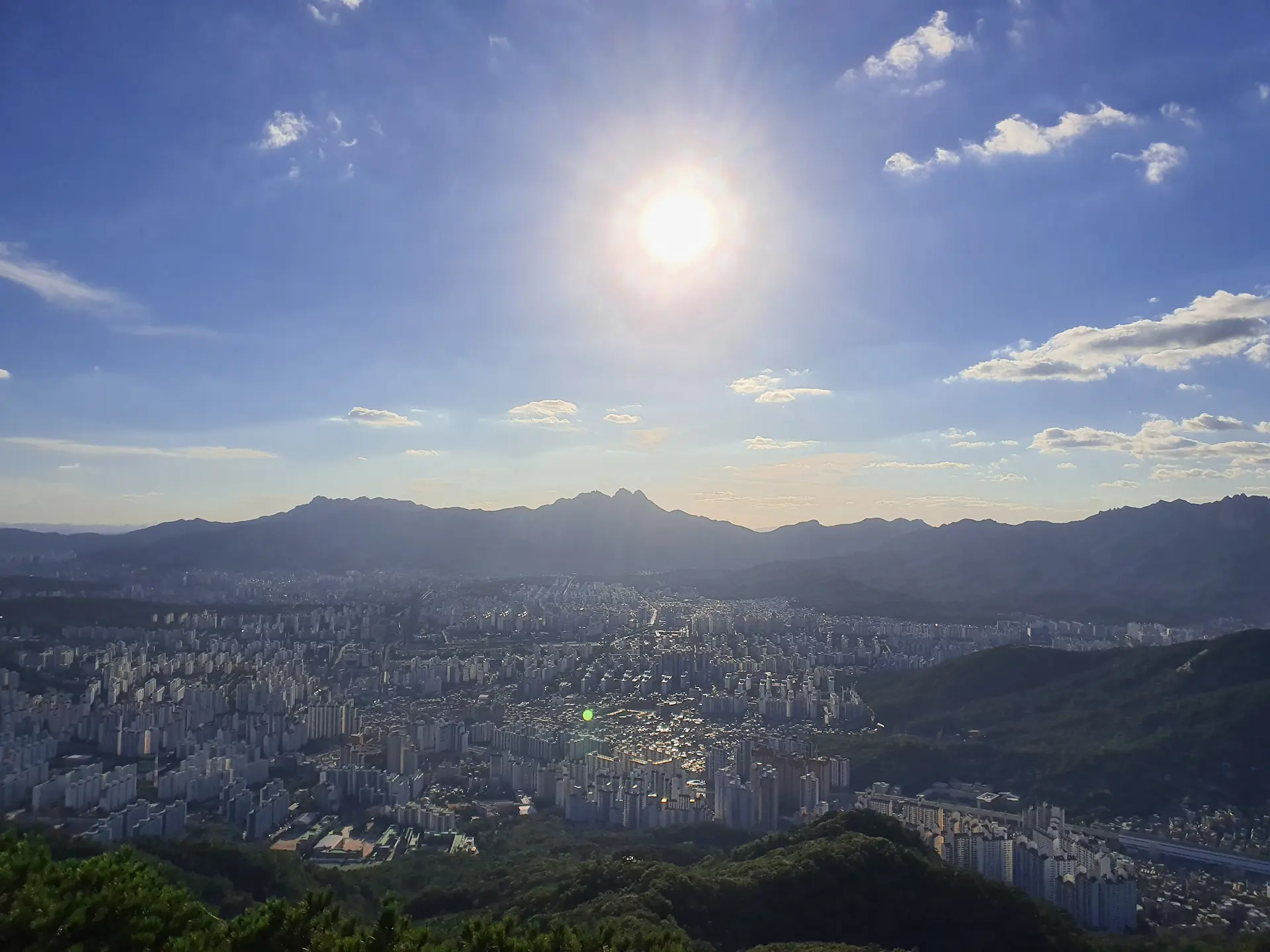 서쪽